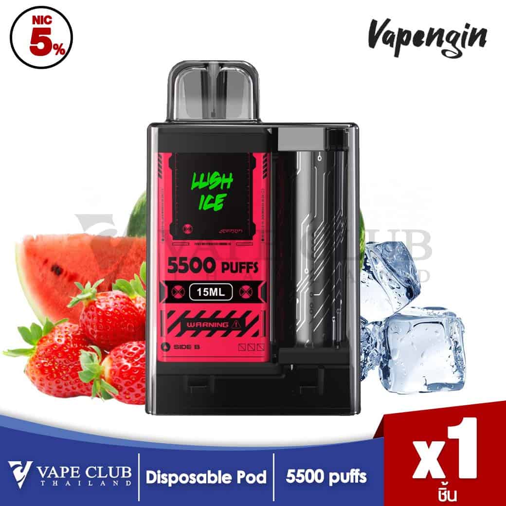 VAPENGIN 5500 Puffs Disposble Pod Watermalonstrawberry ice